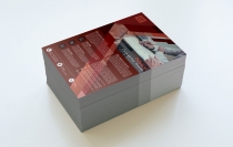 Polyline Corporate Flyer Screenshot 3